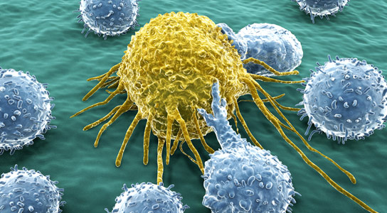 CAN YOUR BODY FIGHT CANCER ON ITS OWN?